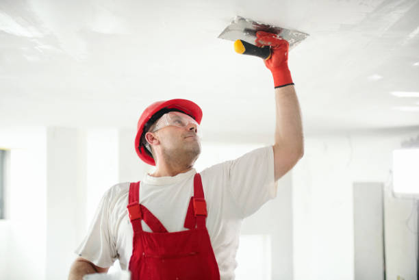 Best Wallpaper Removal and Painting  in Rocky Mount, NC